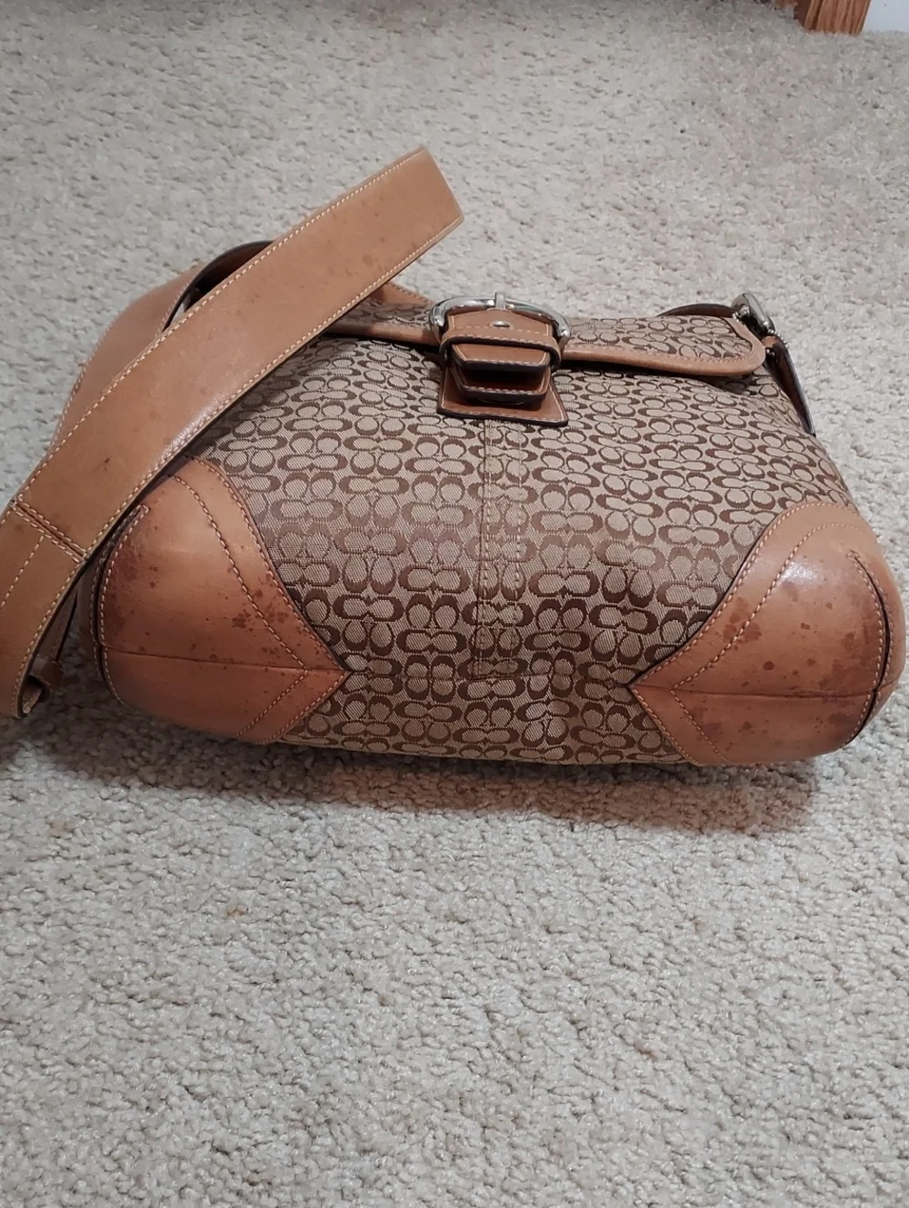 Coach hardware spots adjustable
